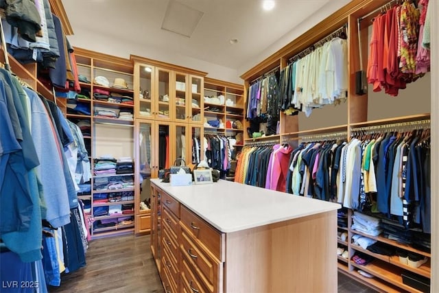 2200 Glenbrook Way, Las Vegas, NV 89117 - spacious closet with attic access and dark wood-style floors