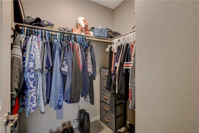 4336 Guava Ct Unit 0, Las Vegas, NV 89135 - spacious closet with carpet flooring