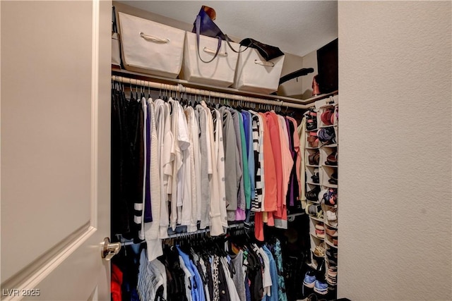 4336 Guava Ct Unit 0, Las Vegas, NV 89135 - view of walk in closet