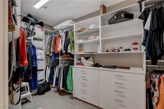 4336 Guava Ct Unit 0, Las Vegas, NV 89135 - walk in closet featuring carpet floors