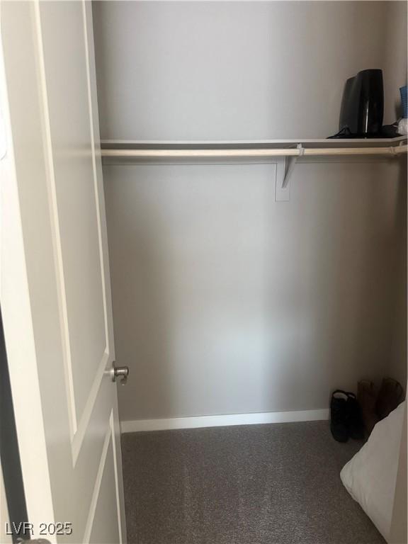 4336 Guava Ct, Las Vegas, NV 89135 - walk in closet featuring carpet flooring