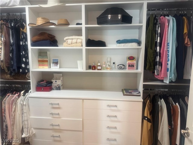 4336 Guava Ct, Las Vegas, NV 89135 - view of walk in closet