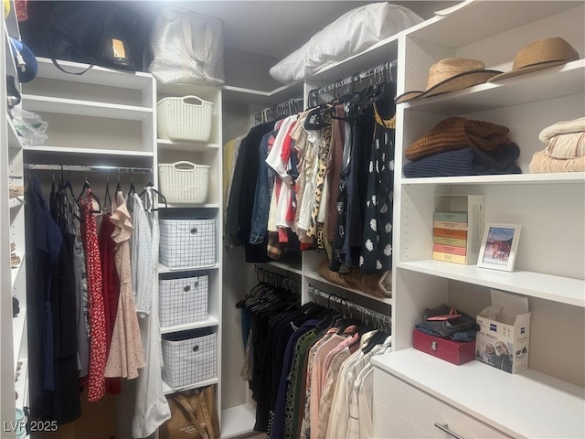 4336 Guava Ct, Las Vegas, NV 89135 - view of walk in closet