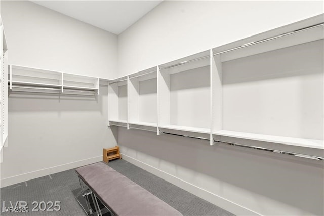 387 Solitude Peak Ln, Henderson, NV 89012 - spacious closet with dark colored carpet