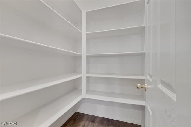 4828 Marco Polo St, North Las Vegas, NV 89031 - view of storage area