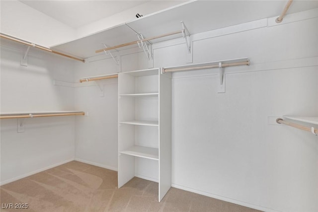 4828 Marco Polo St, North Las Vegas, NV 89031 - spacious closet featuring carpet