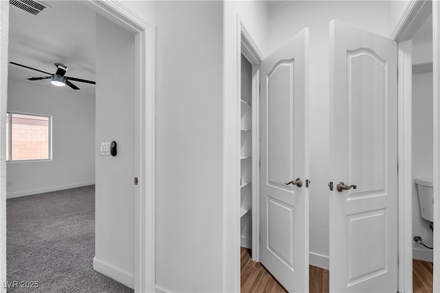 9047 Harbor Wind Ave, Las Vegas, NV 89178 - hallway with baseboards