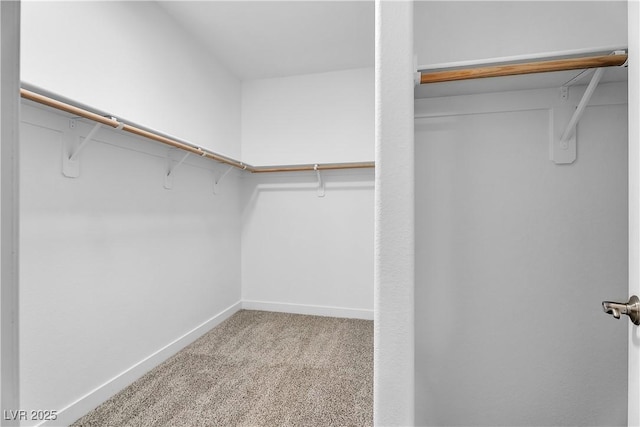 9047 Harbor Wind Ave, Las Vegas, NV 89178 - spacious closet featuring carpet floors
