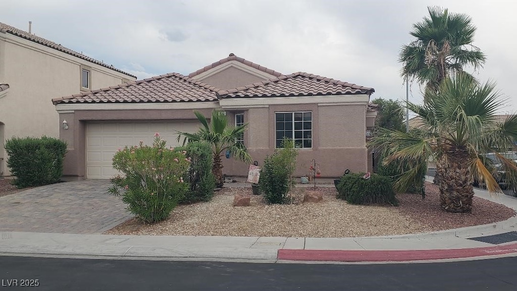 449 Orchid Oasis Ave, North Las Vegas, NV 89031 - photo 1