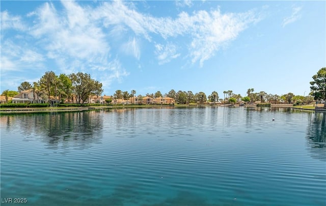 3151 Soaring Gulls Dr Unit 2180, Las Vegas, NV 89128 - water view