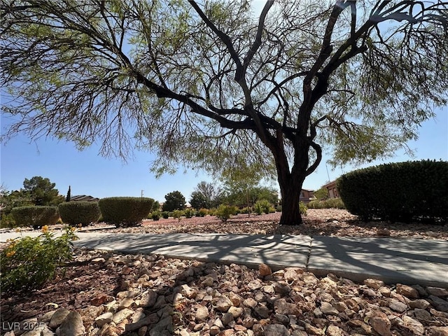 4351 Hera Temple Ave, North Las Vegas, NV 89031 - photo 7