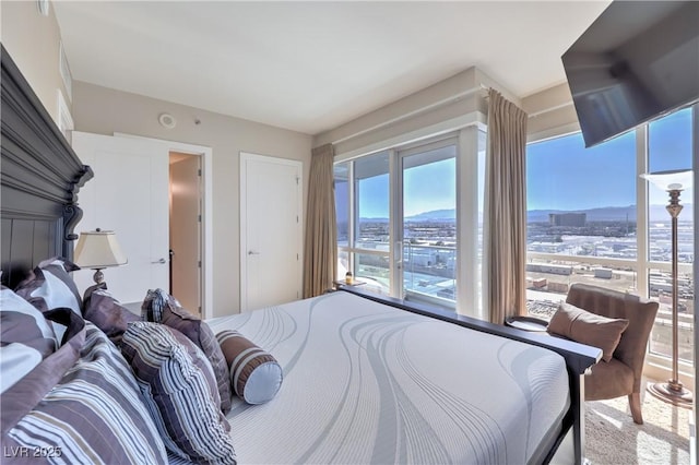 4575 Dean Martin Dr Unit 1112, Las Vegas, NV 89103 - view of bedroom