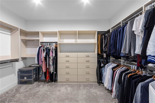 2004 Peaceful Mesa Ct, Henderson, NV 89052 - walk in closet featuring carpet floors