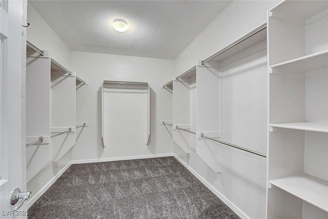 3544 Tack St, Las Vegas, NV 89122 - walk in closet with carpet flooring