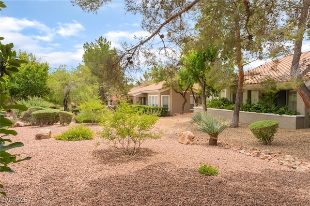 10037 Summer Oak Ln Unit 102, Las Vegas, NV 89134 - view of yard