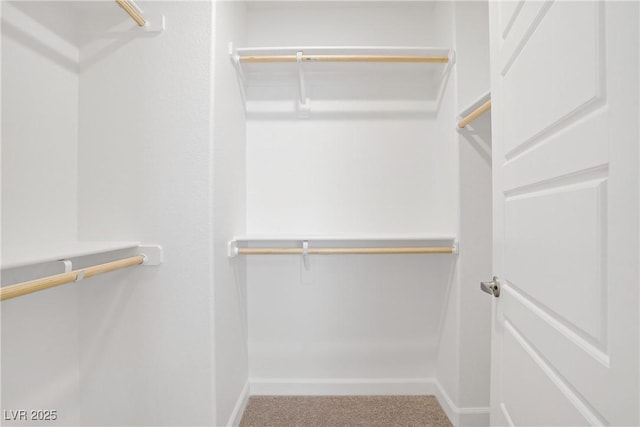 3621 Arcadian Sea St, Las Vegas, NV 89106 - walk in closet with carpet