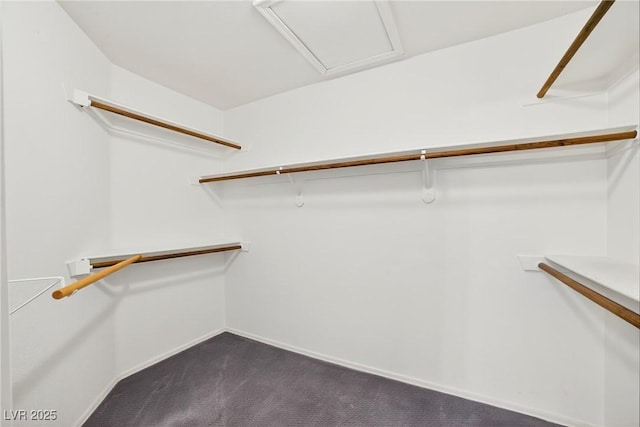 114 Tamarack Dr, Henderson, NV 89002 - walk in closet with dark colored carpet
