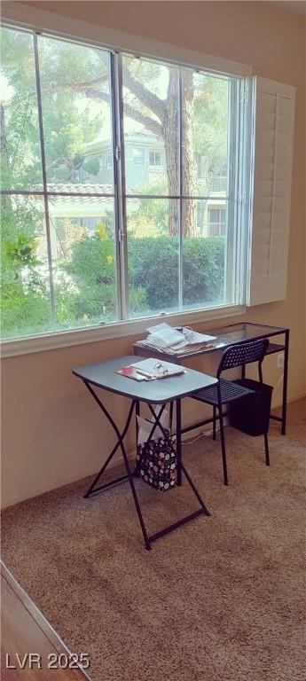 9050 W Warm Springs Rd Unit 1092, Las Vegas, NV 89148 - photo 16