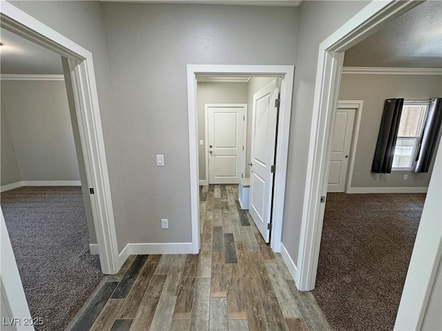 210 Magnolia Blvd, Pahrump, NV 89048 - hall featuring ornamental molding, dark colored carpet, and dark wood-type flooring