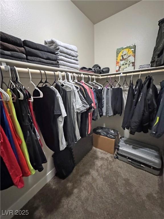 210 Magnolia Blvd, Pahrump, NV 89048 - walk in closet with carpet