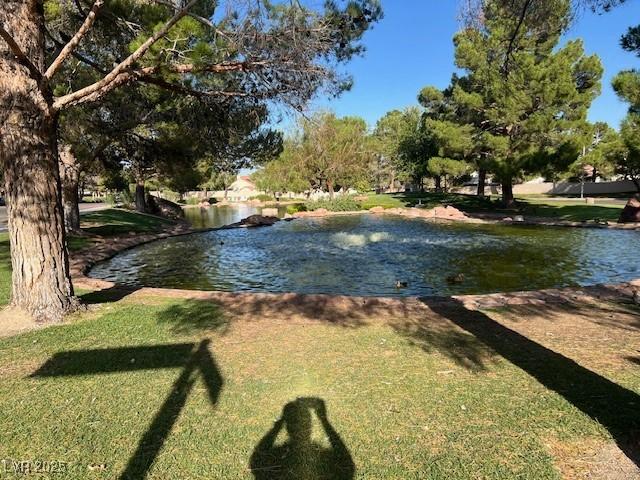9600 Pacific View Dr, Las Vegas, NV 89117 - photo 31