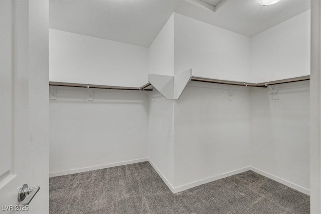 786 Etter Creek St, Las Vegas, NV 89138 - photo 42
