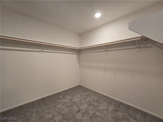5817 Bonita Rose St, Las Vegas, NV 89113 - spacious closet featuring carpet floors