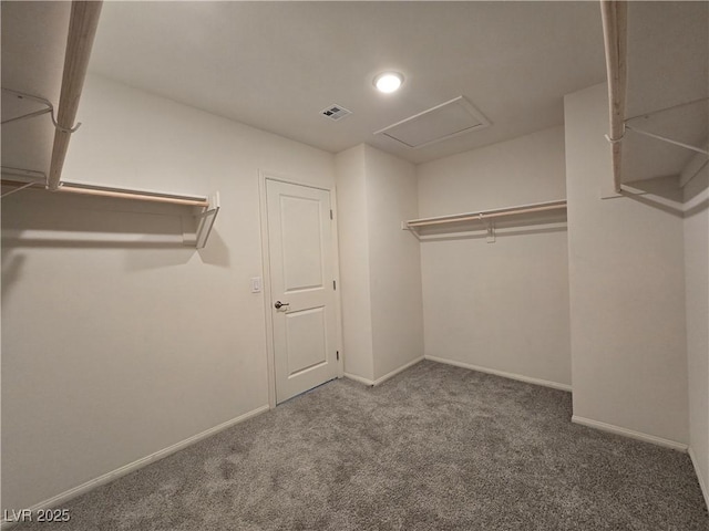 5817 Bonita Rose St, Las Vegas, NV 89113 - walk in closet featuring carpet floors