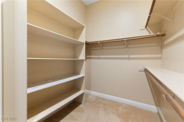 12168 Dorada Coast Ave, Las Vegas, NV 89138 - walk in closet featuring carpet