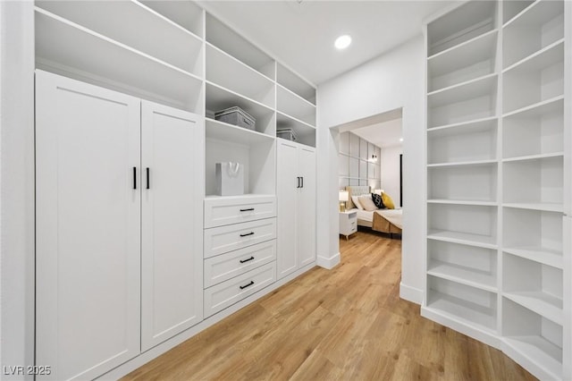 9900 Summer Ash Ct Unit 103, Las Vegas, NV 89134 - spacious closet featuring light wood-style flooring