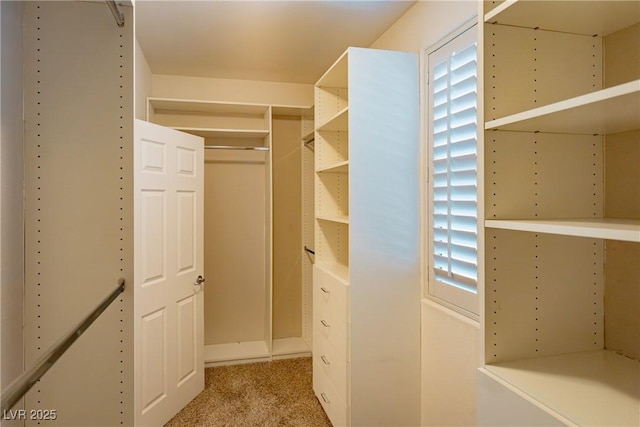 10404 Mystic Pine Rd, Las Vegas, NV 89135 - photo 41