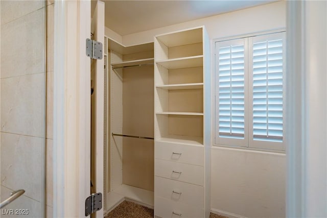 10404 Mystic Pine Rd, Las Vegas, NV 89135 - photo 39