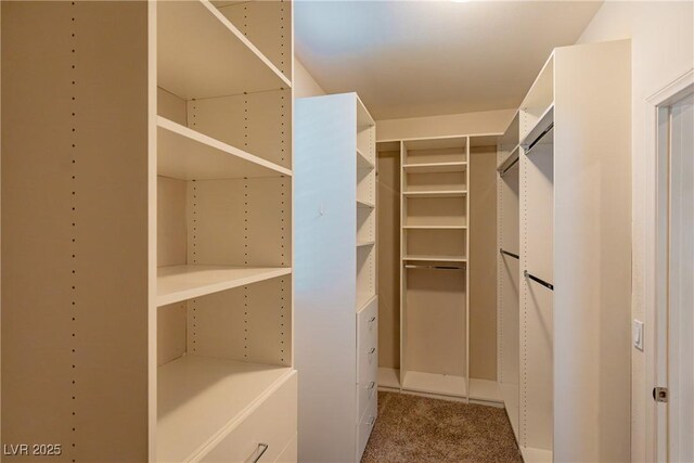 10404 Mystic Pine Rd, Las Vegas, NV 89135 - photo 40