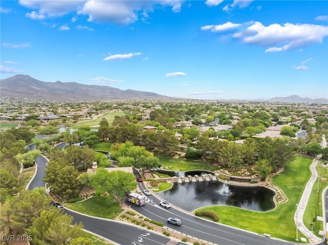 11 Knob Oak Dr, Henderson, NV 89052 - photo 79