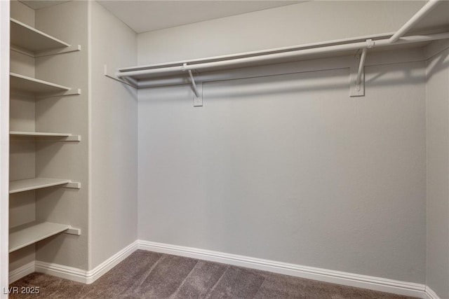 7816 Calico Flower Ave, Las Vegas, NV 89128 - walk in closet featuring dark carpet