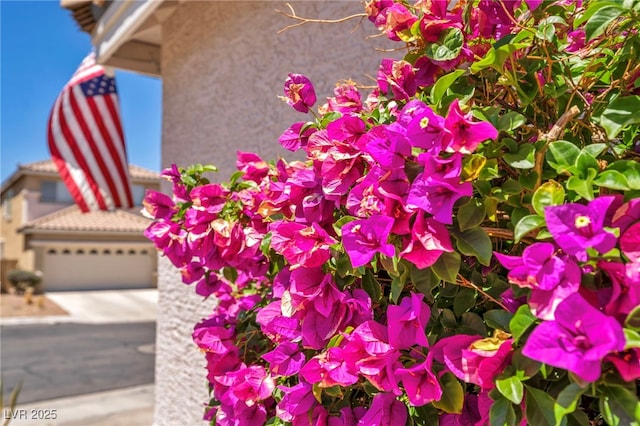 2180 Polynesia Cir, Henderson, NV 89074 - exterior view of stucco siding and driveway