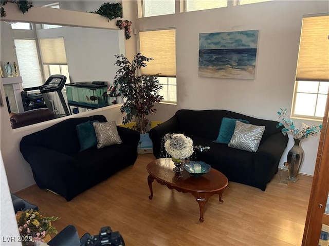 2180 Polynesia Cir, Henderson, NV 89074 - living room featuring plenty of natural light and wood finished floors