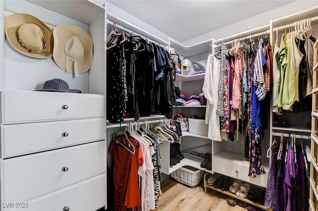 8926 Termoli St, Las Vegas, NV 89123 - spacious closet with wood finished floors