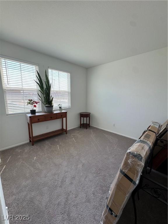 5562 S Chippewa St, Pahrump, NV 89061 - photo 31
