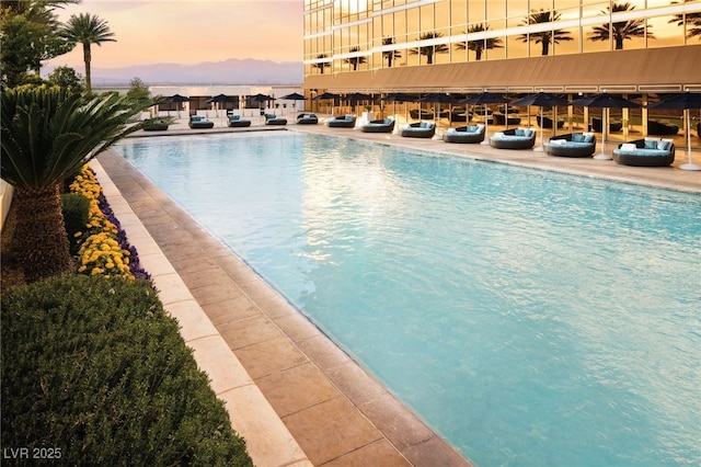 2000 Fashion Show Dr Unit 6109, Las Vegas, NV 89109 - pool at dusk with a community pool