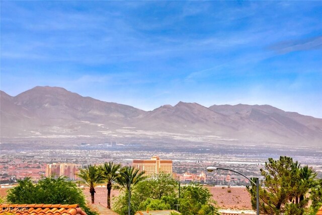 3050 Canal Walk Rd, Henderson, NV 89052 - photo 16