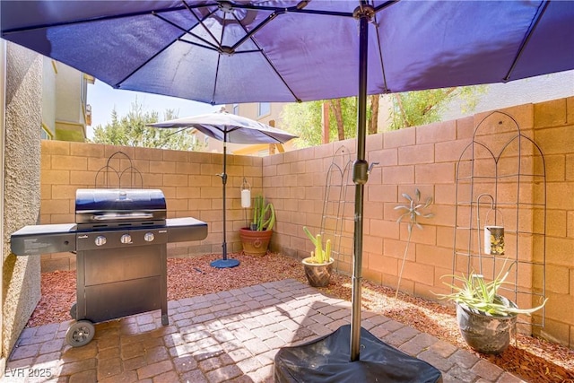 8656 Rowland Bluff Ave, Las Vegas, NV 89178 - photo 24