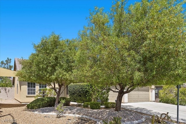 9233 Onyx Point Ct, Henderson, NV 89074 - view of property hidden behind natural elements featuring stucco siding, concrete driveway, and a garage