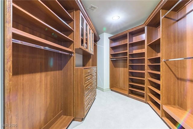 9101 Alta Dr Unit 301, Las Vegas, NV 89145 - walk in closet with light carpet