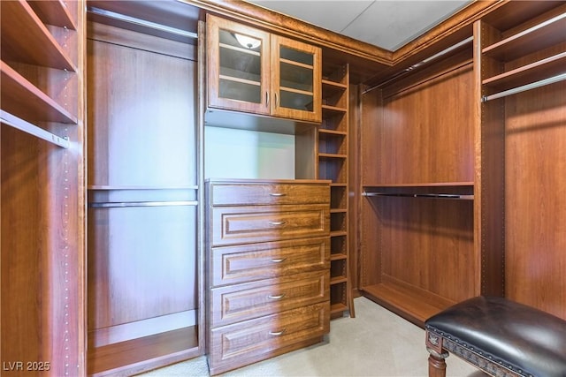9101 Alta Dr Unit 301, Las Vegas, NV 89145 - walk in closet featuring light carpet