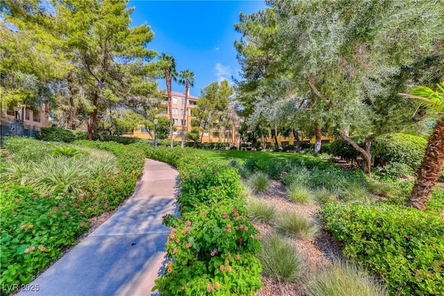 270 E Flamingo Rd Unit 106, Las Vegas, NV 89169 - photo 29