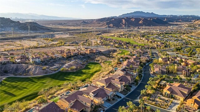 1223 Casa Palermo Cir, Henderson, NV 89011 - photo 71