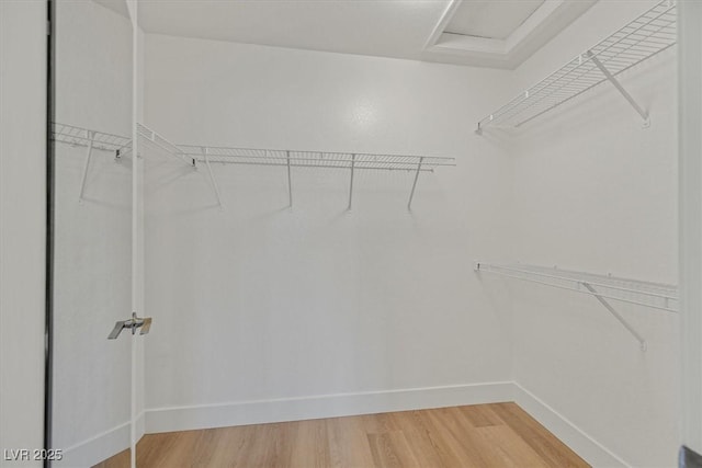 8924 Signal Terrace Dr, Las Vegas, NV 89134 - walk in closet featuring light wood-style flooring and attic access