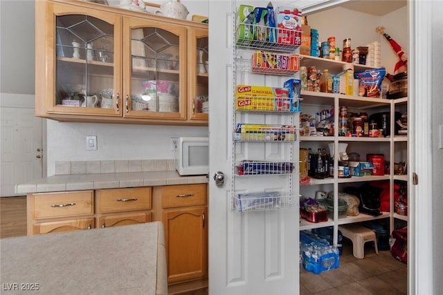 6337 W Cactus Ave, Las Vegas, NV 89141 - view of pantry