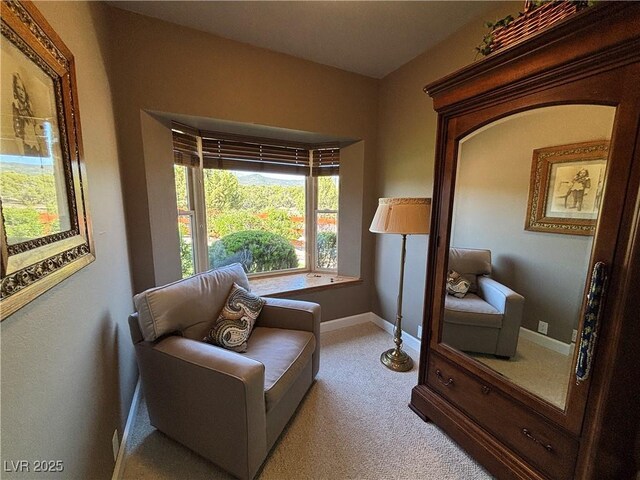 2775 Mineral Dr, Ely, NV 89301 - photo 36